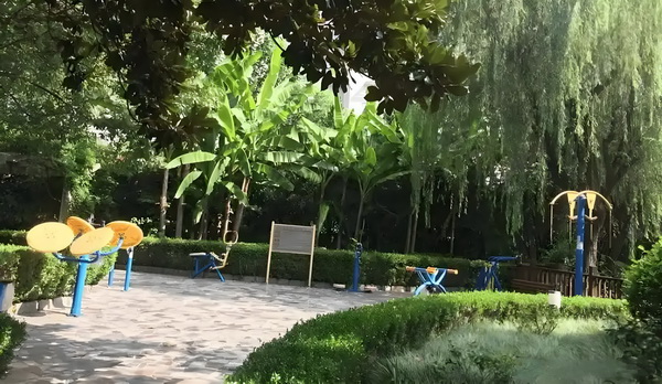 女县令